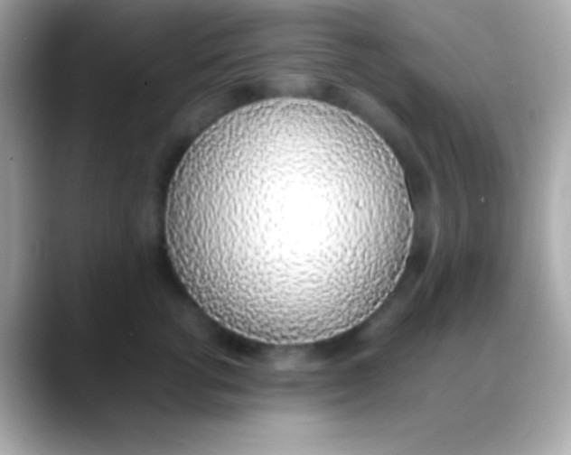 X0000088150762200706042029