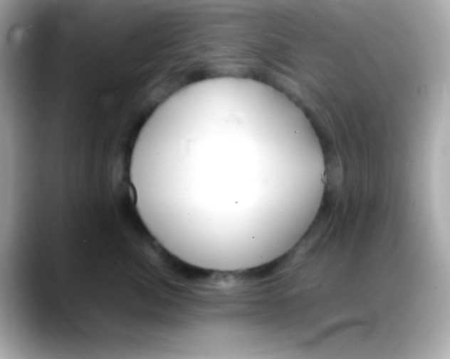 X0000088150764200706042029