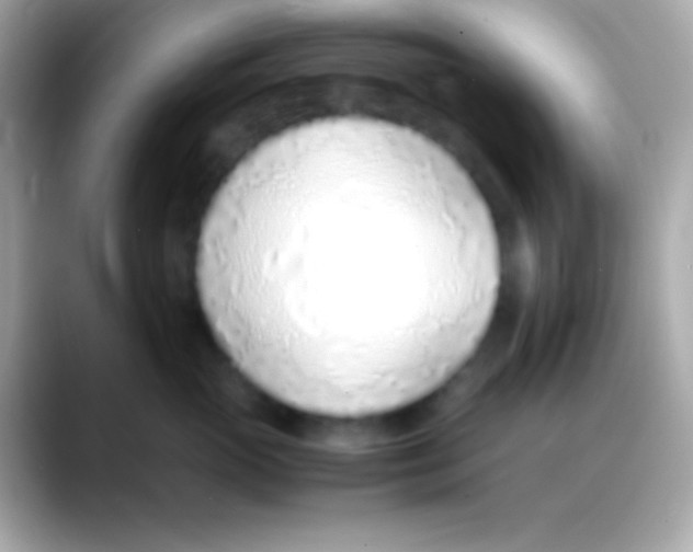 X0000088150765200706042029