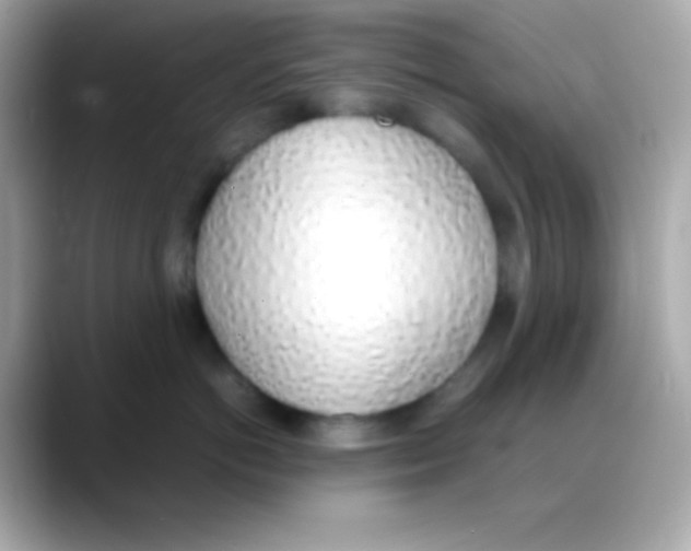 X0000088150766200706042029