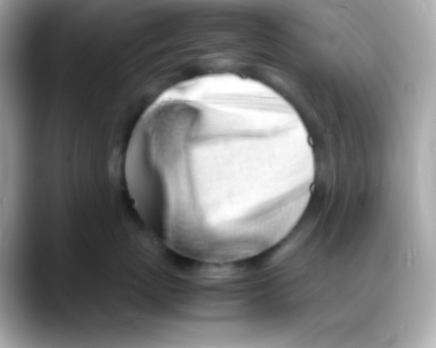 X0000088150767200706042029