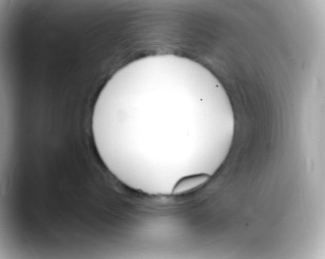 X0000088150768200706042029