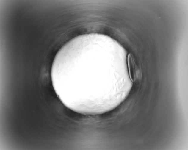 X0000088150771200706042028