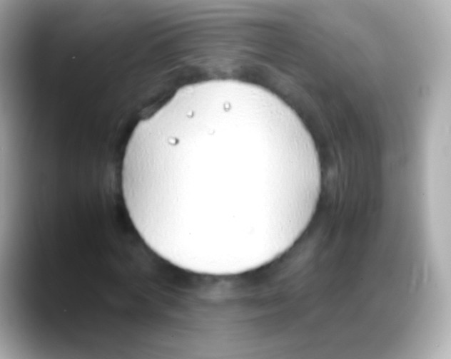 X0000088150772200706042028