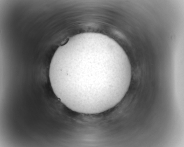 X0000088150774200706042028