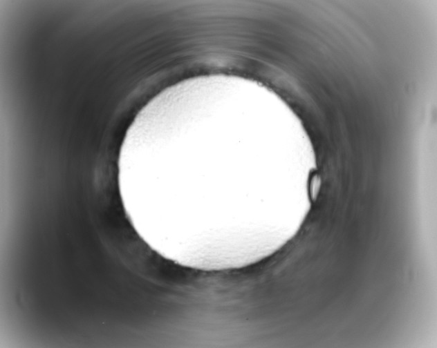 X0000088150776200706042028