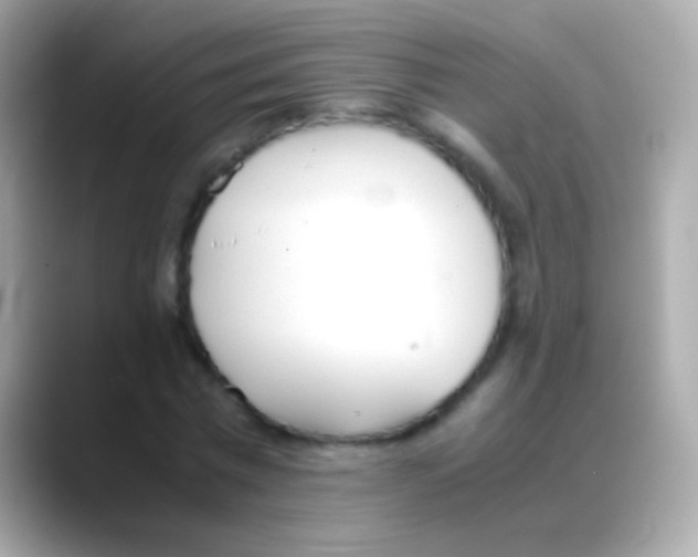 X0000088150777200706042028