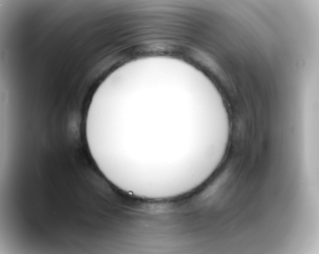 X0000088150778200706042028