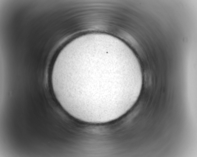 X0000088150780200706042028