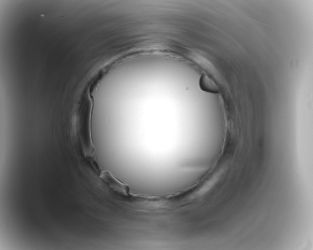 X0000088150781200706042028