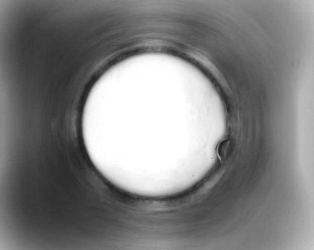 X0000088150783200706042028