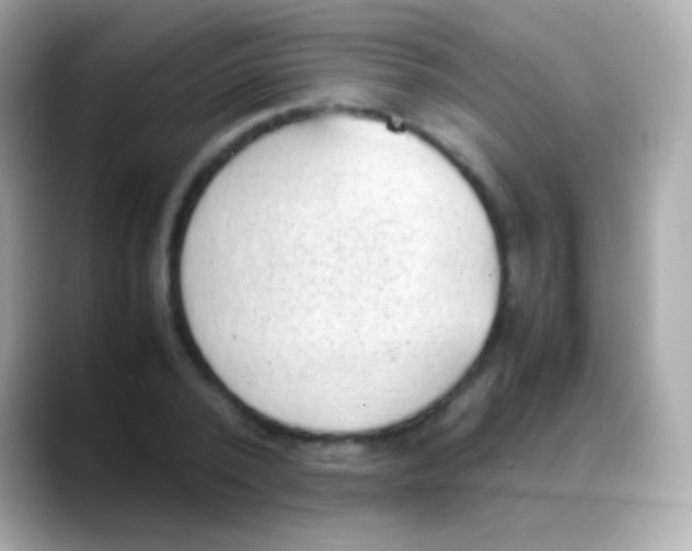 X0000088150784200706042028