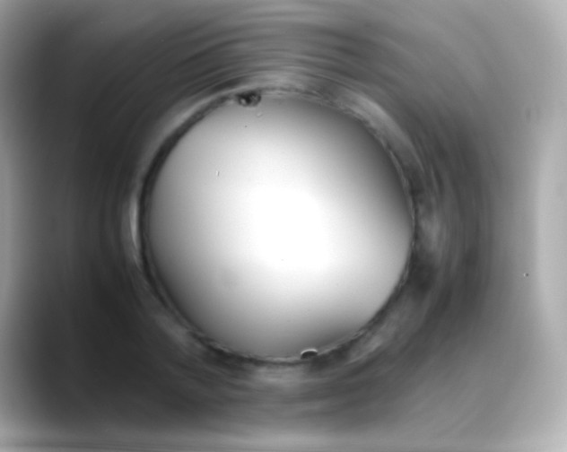 X0000088150788200706042028