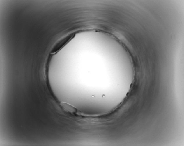 X0000088150789200706042028