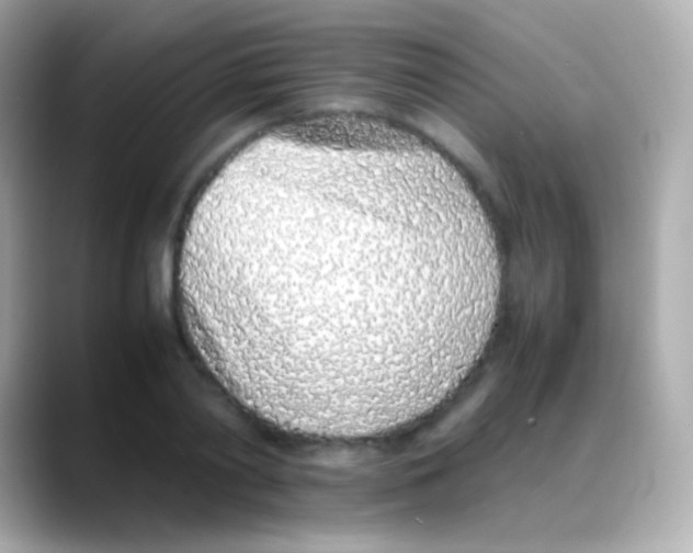 X0000088150790200706042028