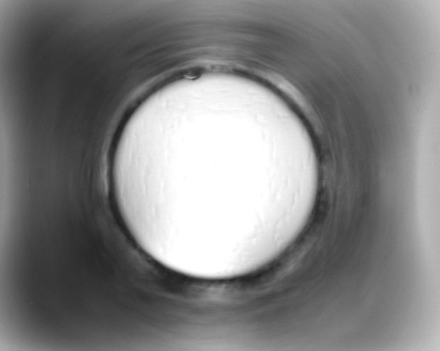 X0000088150791200706042028