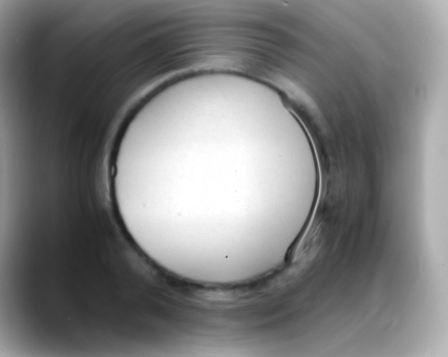 X0000088150792200706042028