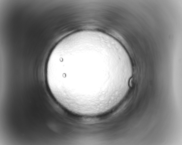 X0000088150795200706042028