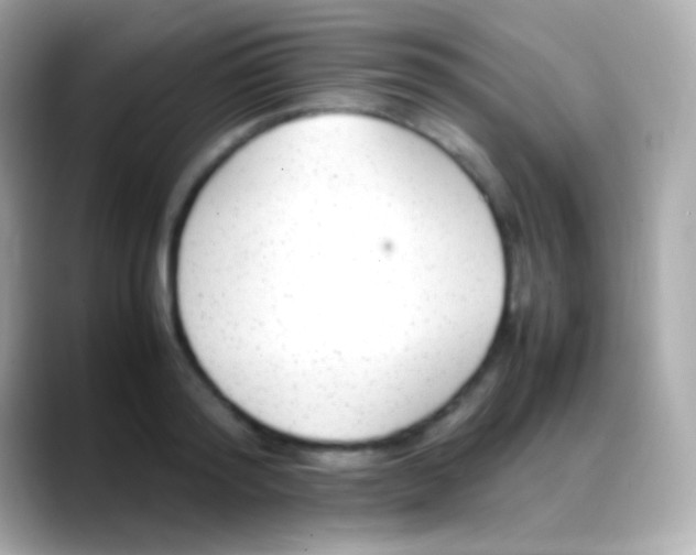 X0000088150796200706042028