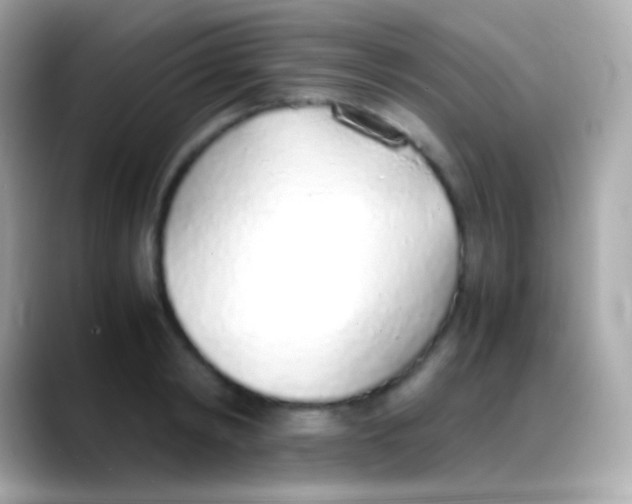 X0000088150798200706042028