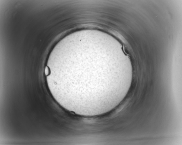 X0000088150799200706042028