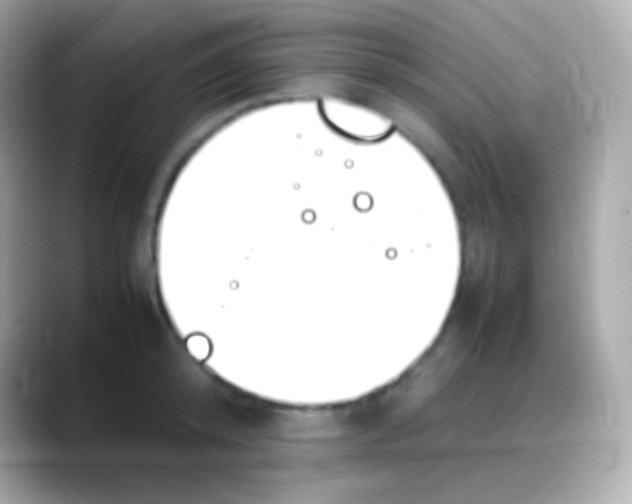 X0000088150800200706042028