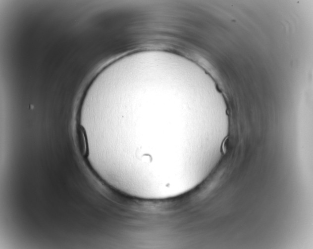 X0000088150803200706042028