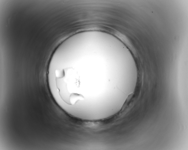 X0000088150805200706042028