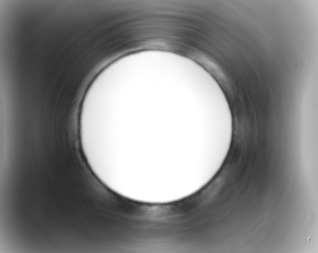 X0000088150808200706042028