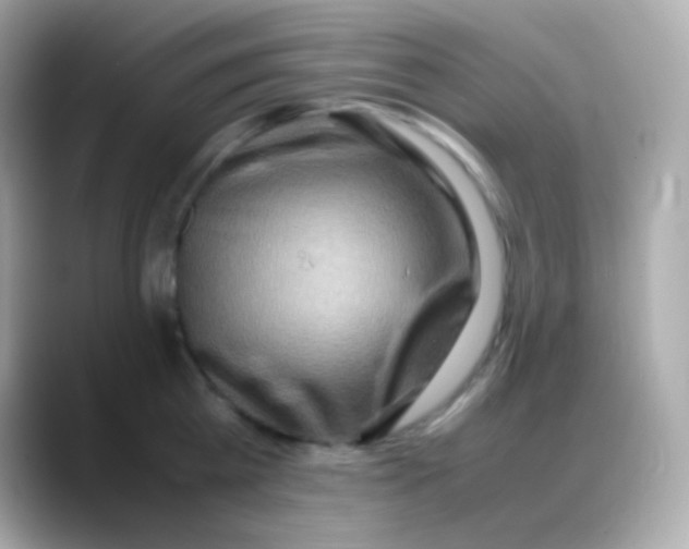 X0000088150809200706042028