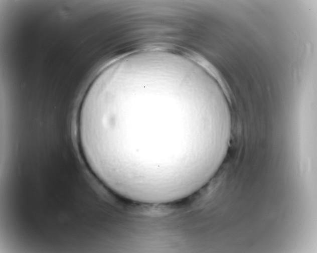 X0000088150811200706042028