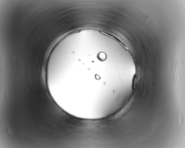 X0000088150812200706042028