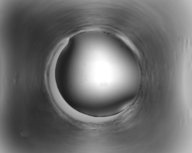 X0000088150813200706042028