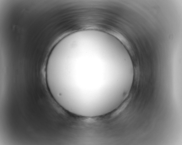 X0000088150814200706042028