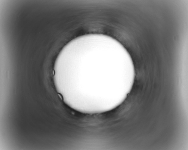 X0000088150817200706042027