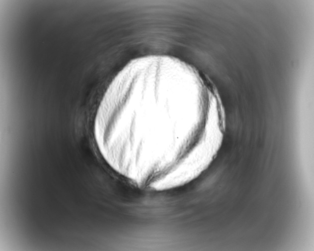 X0000088150818200706042027