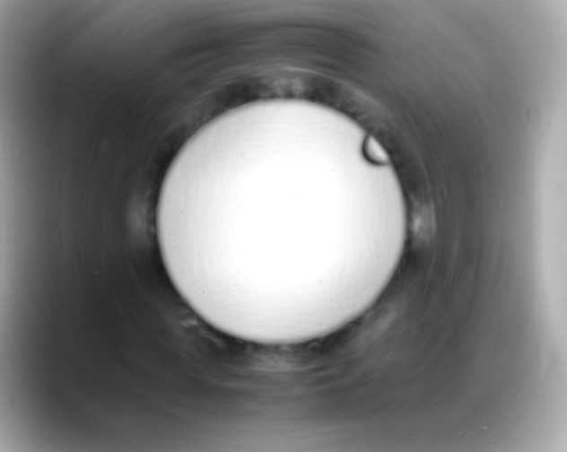 X0000088150819200706042027