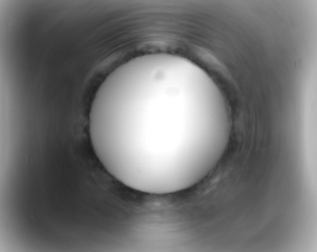 X0000088150822200706042027