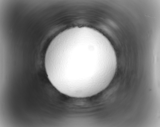 X0000088150823200706042027