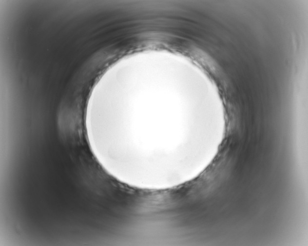 X0000088150824200706042027