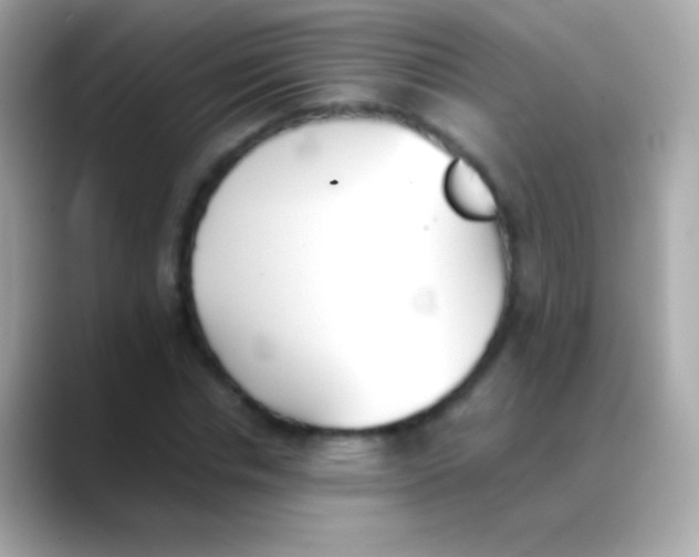 X0000088150826200706042027