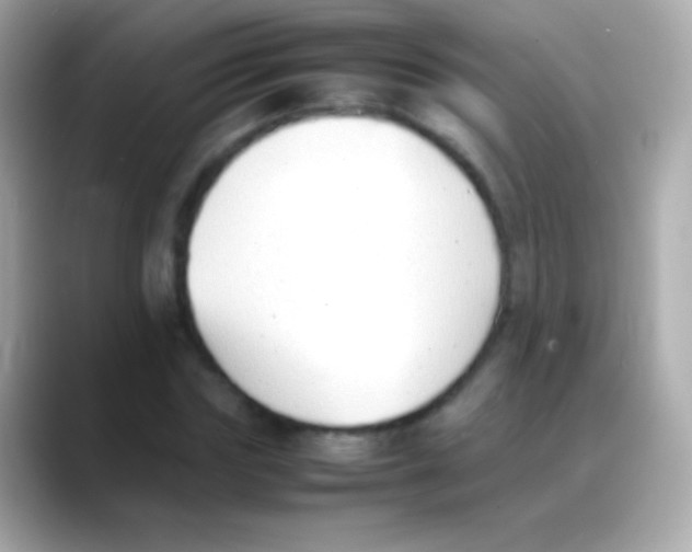 X0000088150827200706042027