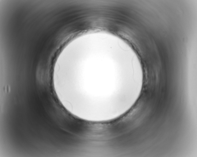 X0000088150828200706042027