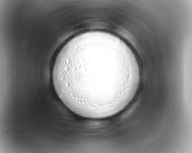 X0000088150829200706042027