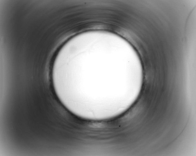 X0000088150835200706042027