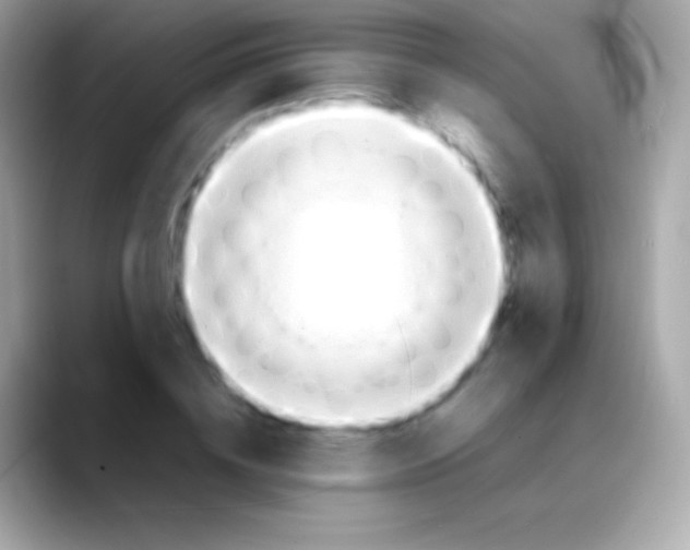 X0000088150836200706042027