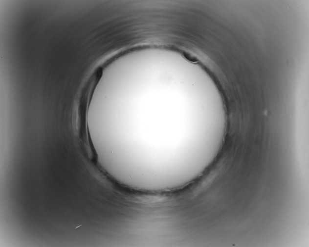 X0000088150838200706042027