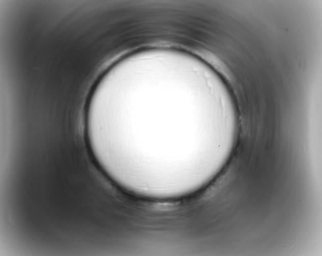 X0000088150839200706042027