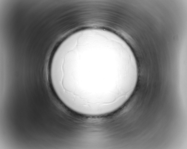 X0000088150840200706042027