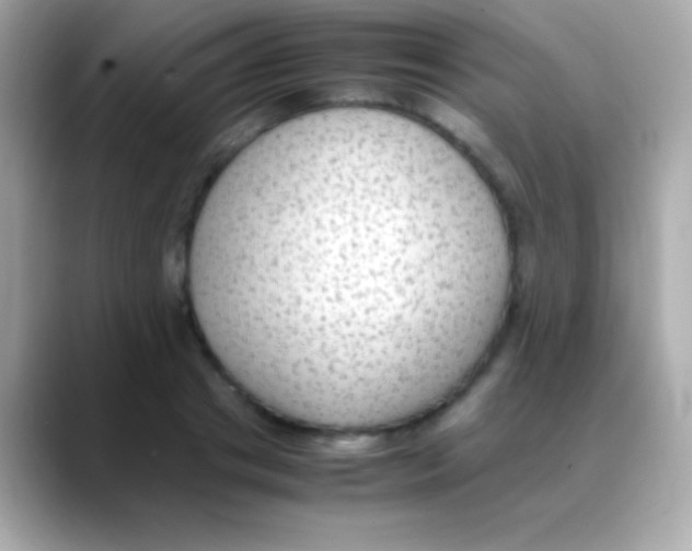 X0000088150841200706042027